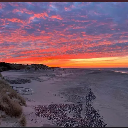 Lamer * Borkum